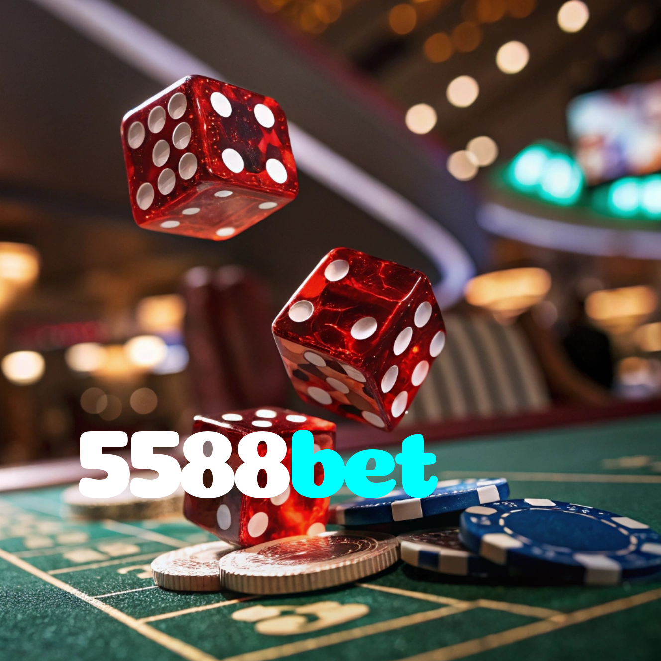 5588bet